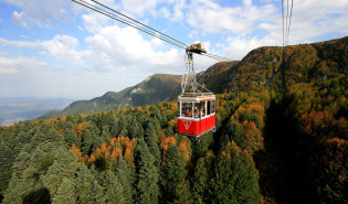 Bursa